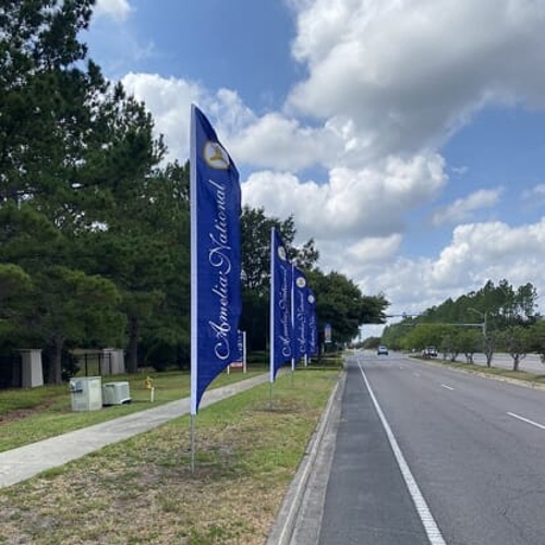 Flags